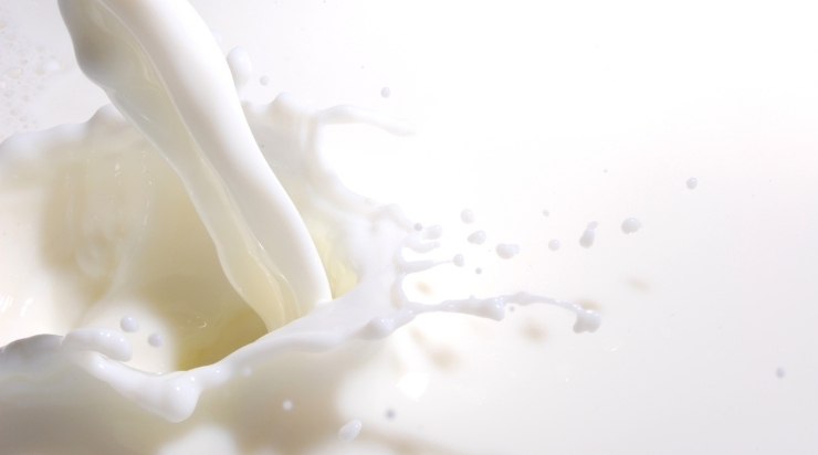 Rửa mặt bằng sữa tươi không đường nguyên chất