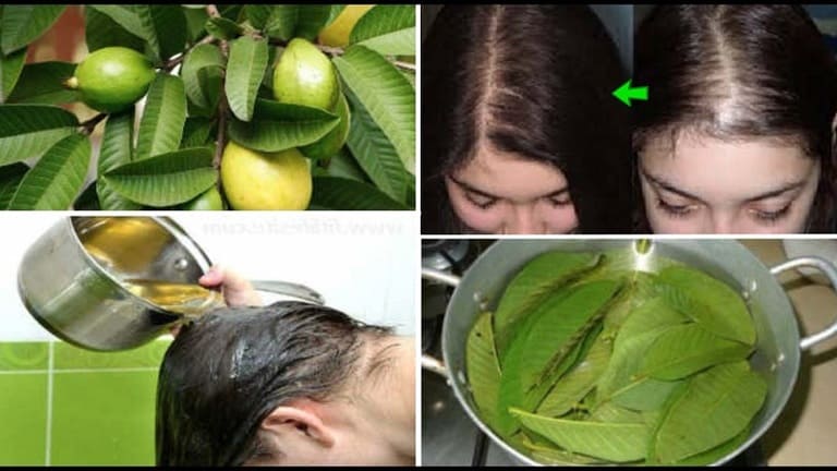 phương pháp trị rụng tóc hiệu quả